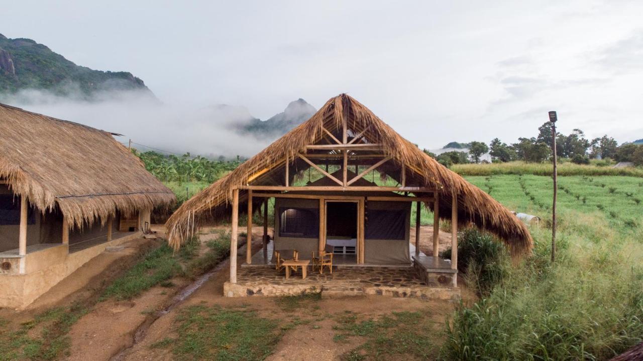 Hotel Wild Glamping Gal Oya - Thema Collection à Galgamuwa  Extérieur photo